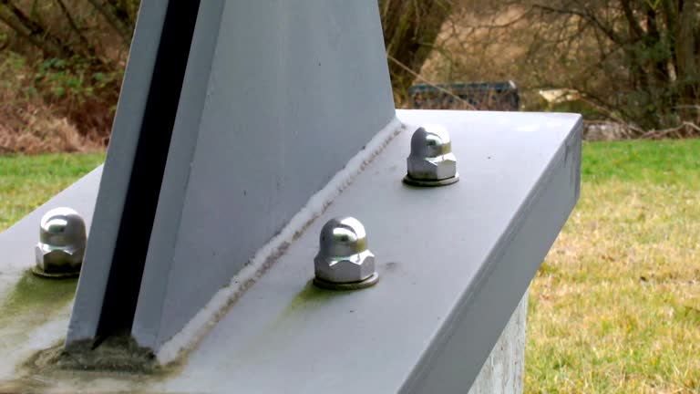 Professional Mold Removal in Hayti, PA